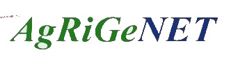 progetto agrigenet